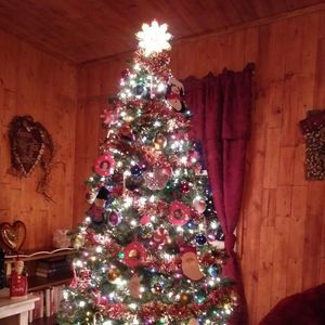 Meet your Posher, Shannan